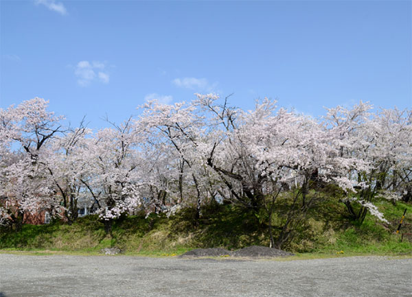 Placeholder image
